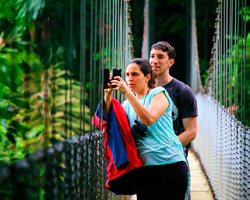 Hanging Bridges